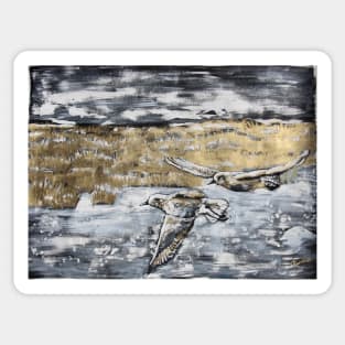 Silver Plovers in Kamouraska Sticker